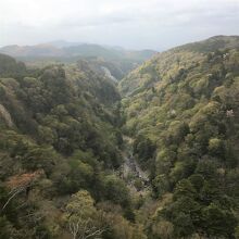 これから新緑の時期だが、風が強く…。