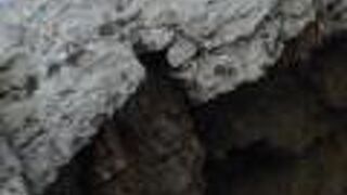 潮吹き洞窟の勇姿は見れず