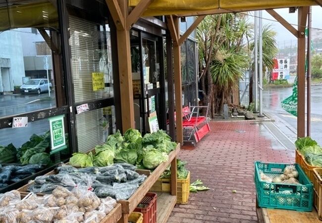 新鮮な魚が売っている