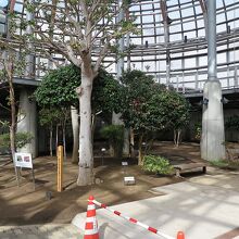 奥にぬけると「釧路フィッシャーマンズワーフMOO」です