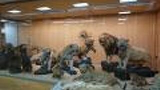 岸和田城、だんじり会館とあわせて行くとお得です。