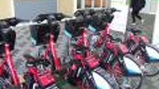 今年も始まりました