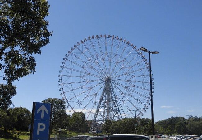 ダイヤと花の大観覧車 クチコミ アクセス 営業時間 葛西 フォートラベル