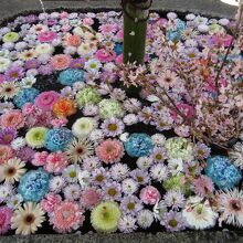 荘内神社の花手水