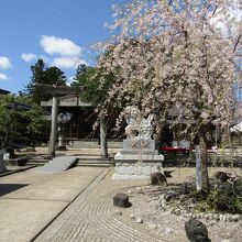 荘内神社の境内