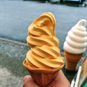 道の駅たるみずで「びわソフトクリーム」