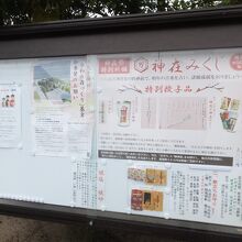 おみくじの一種かな？