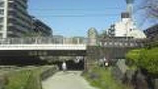 広くて長い親水公園