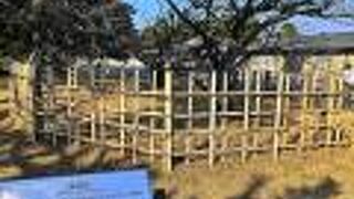 しっかり囲われていました