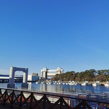 沼津港大型展望水門びゅうお