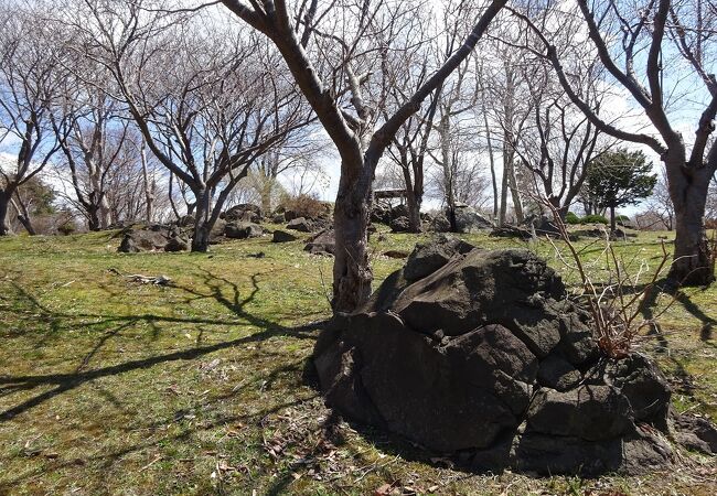 善光寺自然公園