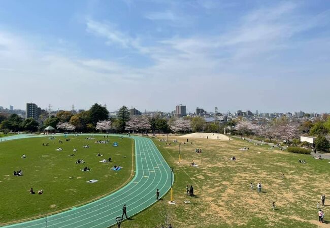 公園 平和 の 中野 森