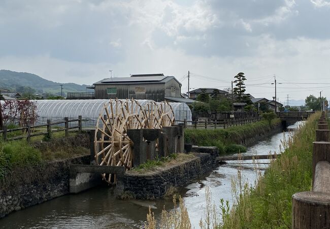 連 朝倉 水車 三