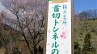 現在は桜の名所