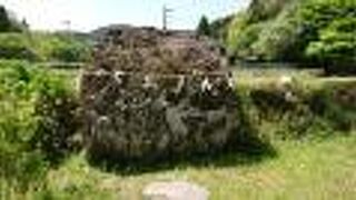 金太郎が遊んだらしい