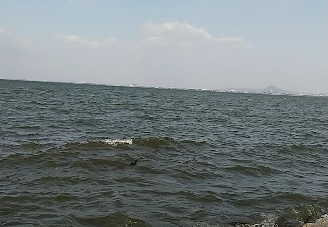 琵琶湖内湖 平湖