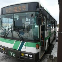観光バスかと思えば普通の路線バスです。