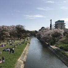 日本さくら名所100選に選定されています。