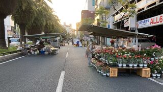 毎週日曜日に開かれている高知の街路市！ええもんがこじゃんと売りゆう