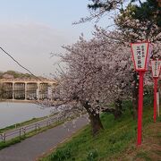 四月上旬の早朝に東岡崎駅付近から、岡崎公園前駅付近まで散策