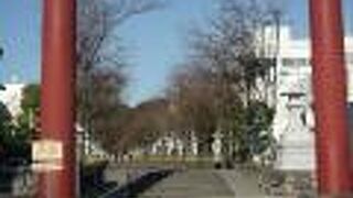 鶴岡八幡宮へ続く参道