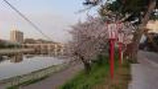 四月上旬の早朝に東岡崎駅付近から、岡崎公園前駅付近まで散策