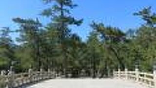 日本の名松100選のひとつ