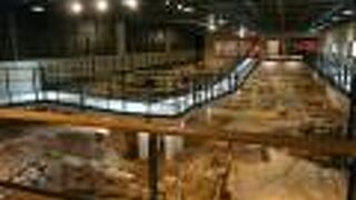 発掘現場を公開