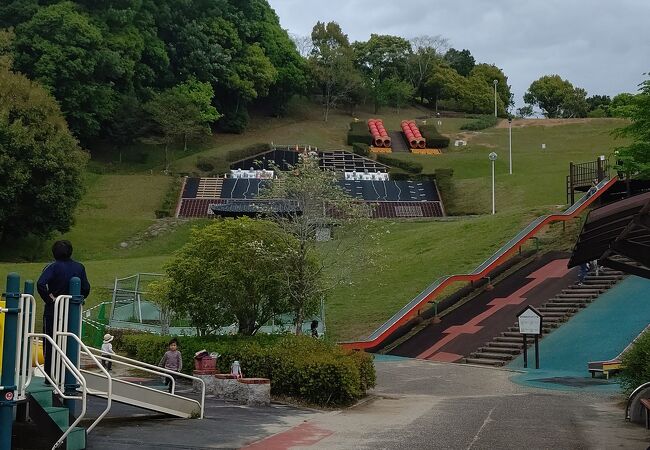 新城総合公園 クチコミ アクセス 営業時間 新城 フォートラベル