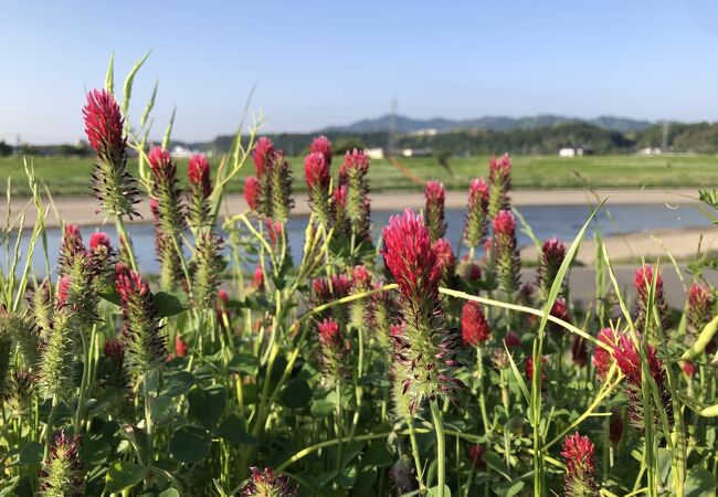 熊本県北部を流れる川