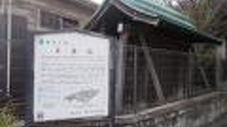 今は門が残っています。