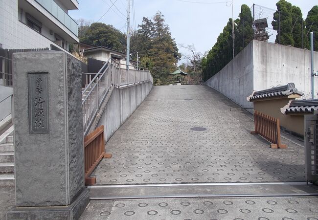 旧東海道戸塚宿にある寺の一つです。