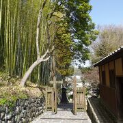 坂沿いの竹林が印象的 （番所の坂）