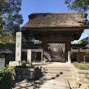 極楽寺（鎌倉）：極楽寺駅の裏手に