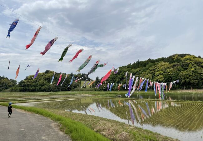 橘ふれあい公園