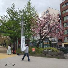 公園入口にブルーライトアップの立札がありました