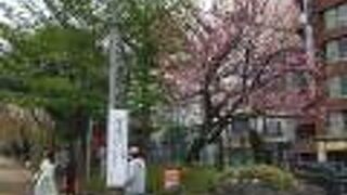 ブルーライトアップが行われていました