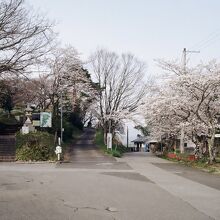 虎御前山、南登山道口。