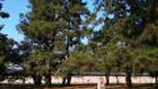 世襲親王家の一つ