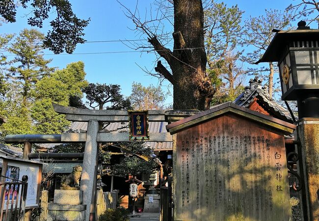 白雲神社 京都御苑内 クチコミ アクセス 営業時間 今出川 北大路 北野 フォートラベル 白雲神社 京都御苑内 クチコミ アクセス 営業時間 今出川 北大路 北野 フォートラベル