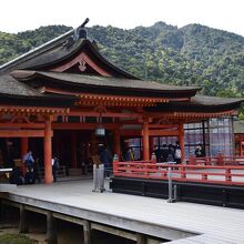 立派な社殿を持つ厳島神社