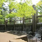 自然豊かな、初夏を感じられる公園です