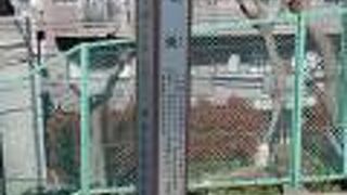 坂道というか石段になっています。