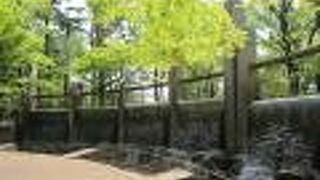 自然豊かな、初夏を感じられる公園です