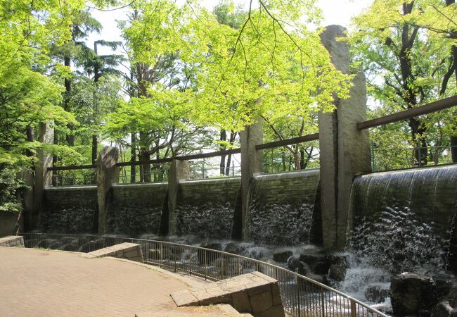 蚕糸の森公園 クチコミ アクセス 営業時間 高円寺 フォートラベル