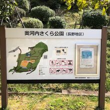 BBQ広場もあります