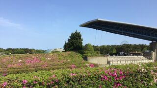 関東でも屈指の有名な国営公園