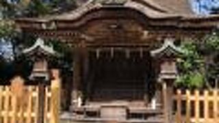 河内長野の戎さん