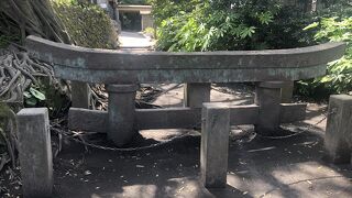 桜島港から市バスで行けます