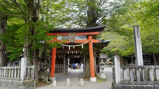 境内は比較的小ぶりですが